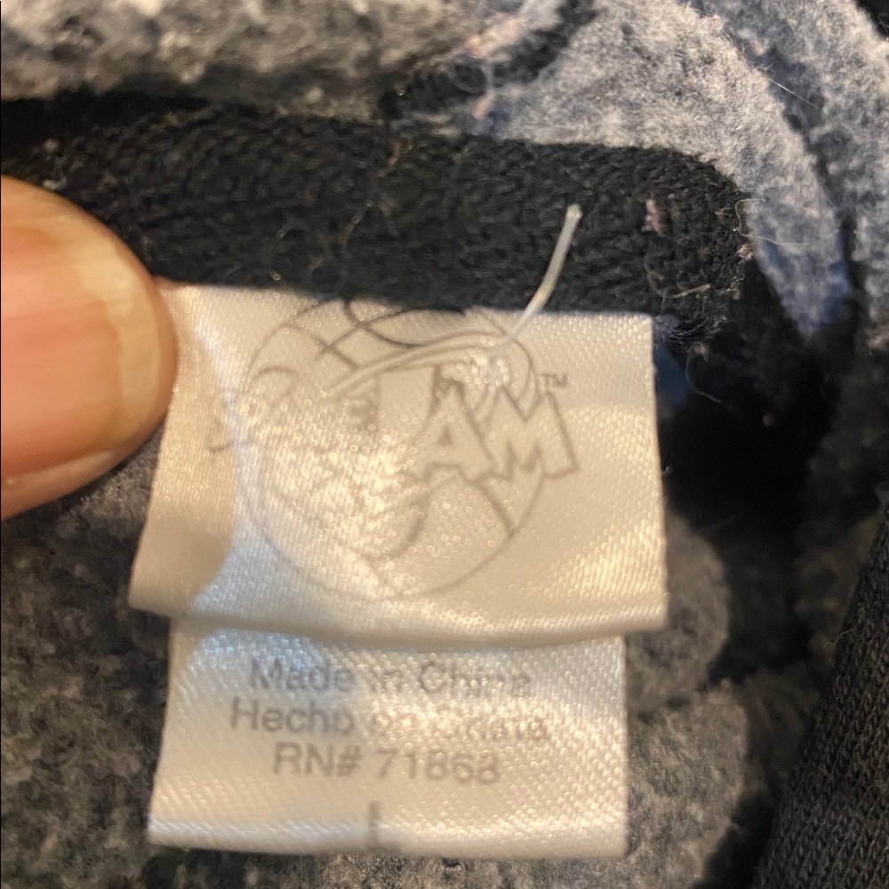 Space Jam size Large Hoodie Unisex good condition - Picture 5 of 5